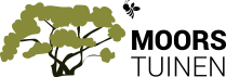 Logo Moors